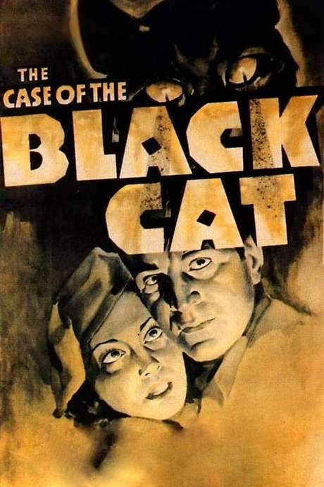 The Case of the Black Cat